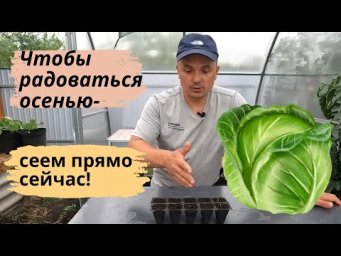 Посейте это в июле-августе и будете ОЧЕНЬ довольны! Тоже сеем каждый год!