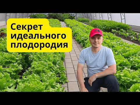 Как улучшить почву осенью? Ошибки садоводов, которые снижают урожай. Как улучшить почву осенью? Ошибки садоводов, которые снижают урожай.