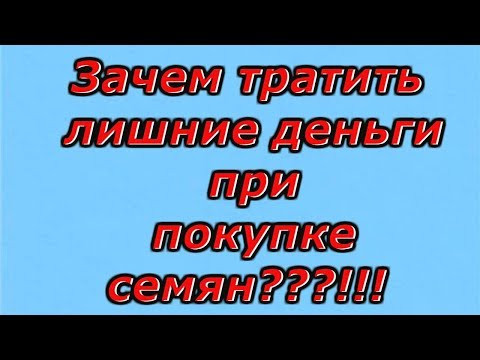 СКОЛЬКО СЕЯТЬ СЕМЯН НА РАССАДУ? Интересное видео, особенно для начинающих. СКОЛЬКО СЕЯТЬ СЕМЯН НА РАССАДУ? Интересное видео, особенно для начинающих.