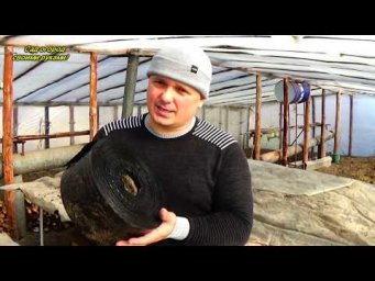 Стаканчики для рассады- два самых лучших варианта!