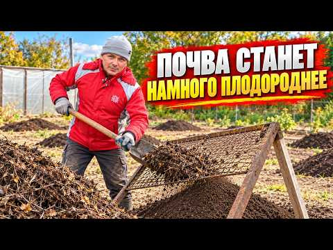 Вот что нужно внести в почву осенью! Земля станет намного плодороднее! Вот что нужно внести в почву осенью! Земля станет намного плодороднее!