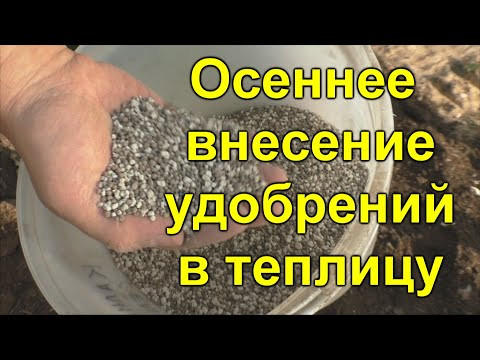 Осеннее внесение удобрений в теплицу - делаем так каждую осень.