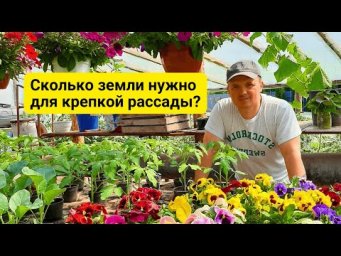 В ТАКОМ горшочке можно вырастить идеально крепкую рассаду- наглядно!