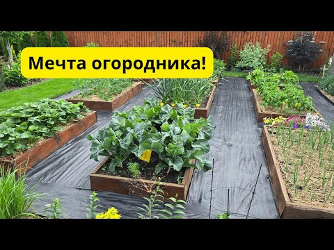 Высокие грядки своими руками — урожай выше, работать проще! Высокие грядки своими руками — урожай выше, работать проще!