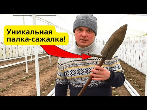 Самоделка для высадки рассады- теперь сажать рассаду одно удовольствие!
