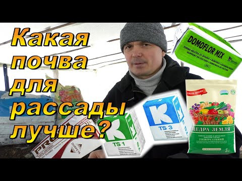 В какой почве рассада вырастет лучше? Делюсь многолетним опытом. В какой почве рассада вырастет лучше? Делюсь многолетним опытом.