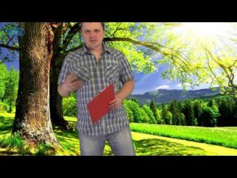 ЭТО ОЧЕНЬ ВАЖНО!!! ПЕТУНИЯ. КАК ПРАВИЛЬНО ВЫРАСТИТЬ РАССАДУ ПЕТУНИИ!