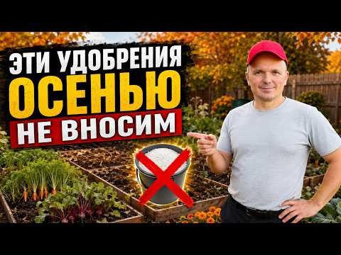 Какие удобрения совершенно нельзя вносить осенью- важное напоминание! Какие удобрения совершенно нельзя вносить осенью- важное напоминание!