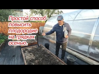 Как повысить плодородие почвы на огороде осенью. Проверенный способ!