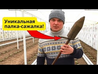 Самоделка для высадки рассады- теперь сажать рассаду одно удовольствие!