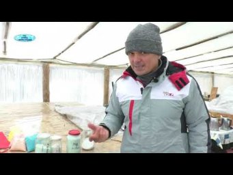 Простые удобрения для растений- дёшево и полезно для растений!