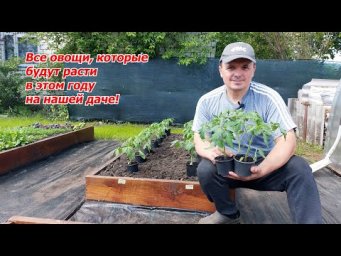 Овощи, которые завалят нас урожаем этим летом на даче!