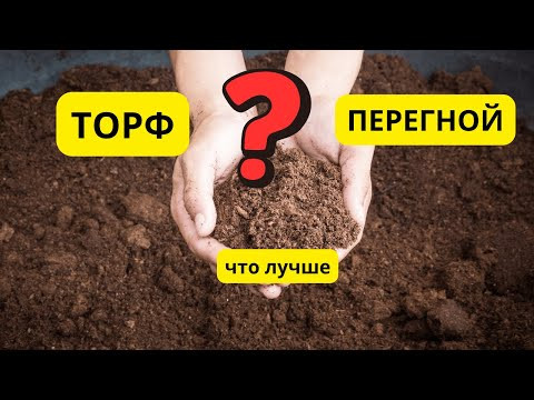 Что лучше внести в почву- торф или перегной? Показываю наочно.