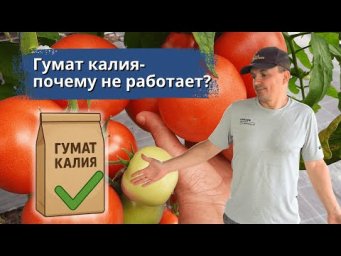 Гумат калия: как добиться максимального эффекта.