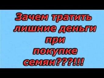 СКОЛЬКО СЕЯТЬ СЕМЯН НА РАССАДУ? Интересное видео, особенно для начинающих.