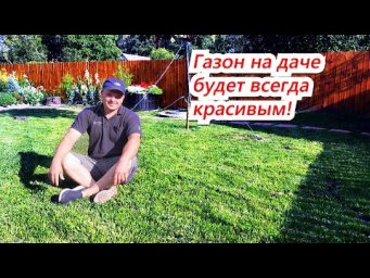 Изумрудно-зелёный газон на даче- всё об уходе. Стрижка, подкормка,  полив.