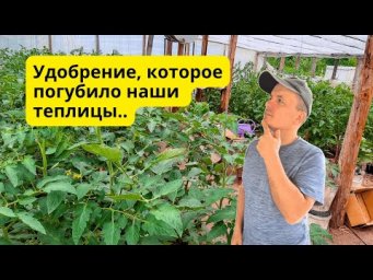 Удобрение, которое я никогда не использую и вам не советую- ХЛОРИСТЫЙ КАЛИЙ.