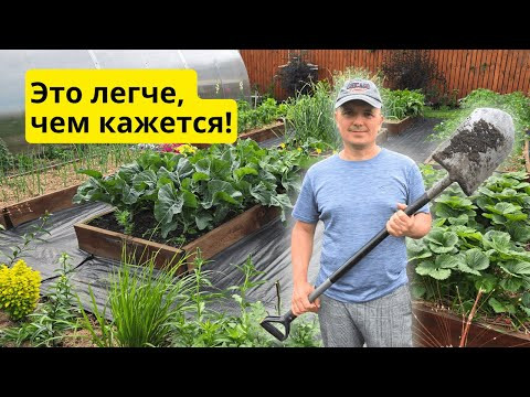 Сделайте почву на грядке СУПЕР плодородной всего за ДВА месяца!