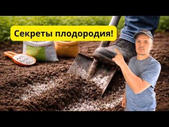 Плодородие значительно повысится- внесите это на грядки весною!
