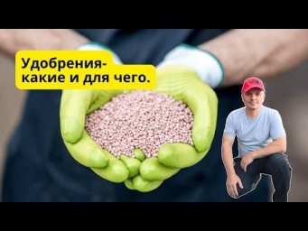 Основные удобрения для растений на огороде- понятный разбор.