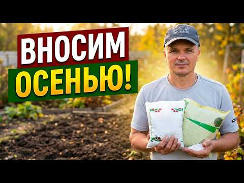 Что внести в почву осенью, чтобы весной получить хороший урожай Что внести в почву осенью, чтобы весной получить хороший урожай