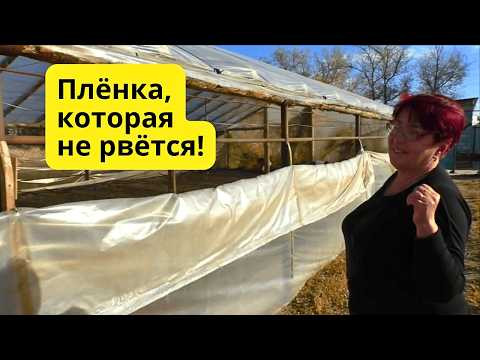Какую плёнку выбрать для теплицы, чтобы не менять её каждый год? Какую плёнку выбрать для теплицы, чтобы не менять её каждый год?
