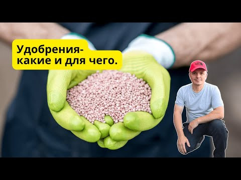 Основные удобрения для растений на огороде- понятный разбор. Основные удобрения для растений на огороде- понятный разбор.