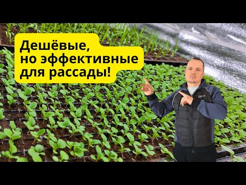 Под этими дешёвыми лампами вырастает приземистая рассада! Под этими дешёвыми лампами вырастает приземистая рассада!
