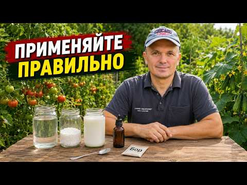 Йод, молоко и бор для томатов. Важные правила применения и ответы на вопросы.