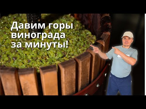 Как быстро передавить виноград на вино &mdash; лучший способ!