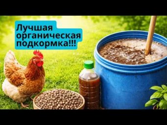 Как приготовить удобрение из куриного помёта &mdash; 2 проверенных способа