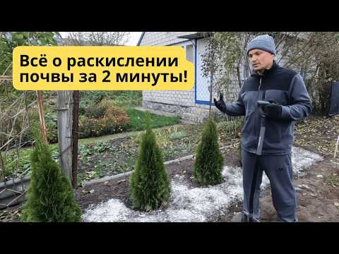Известкование, которое перевернёт ваш огород!