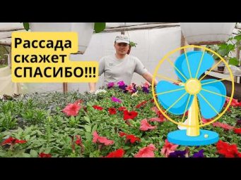 Вентилятор для рассады &mdash; защита от болезней и перепадов температуры.