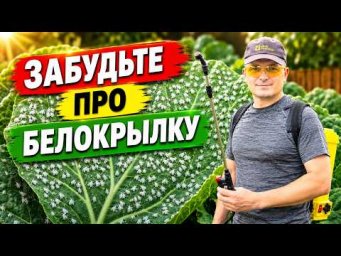 Всего одна обработка и белокрылки на огороде больше нет!