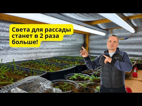 Многократно улучшаем освещение рассады БЕЗ дополнительных ламп!
