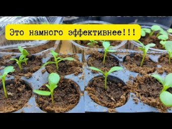 Для чего мы режем кассеты перед посевом семян- корото.
