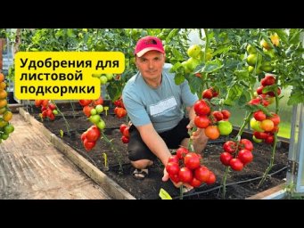 Какие удобрения подходят для листовых подкормок, а какие- нет!