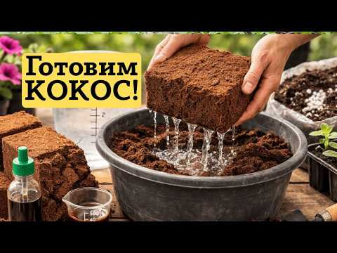 Кокосовый субстрат для растений- как правильно приготовить? Кокосовый субстрат для растений- как правильно приготовить?