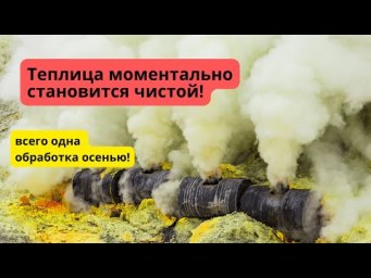 Всего одна обработка, и теплица очищается и от болезней, и от вредителей!