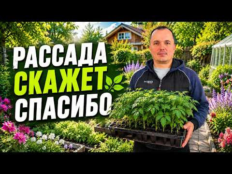 Обязательно сделайте это за ТРИ дня до высадки любой рассады! Обязательно сделайте это за ТРИ дня до высадки любой рассады!
