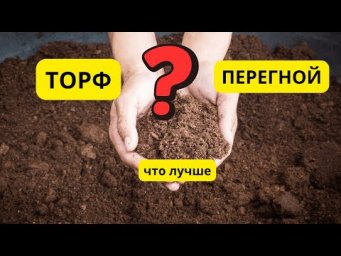 Что лучше внести в почву- торф или перегной? Показываю наочно.