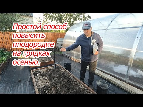 Как повысить плодородие почвы на огороде осенью. Проверенный способ! Как повысить плодородие почвы на огороде осенью. Проверенный способ!