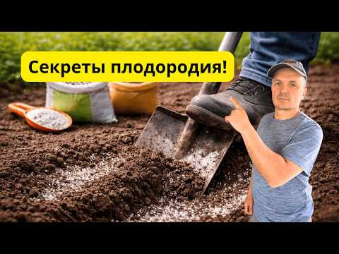 Плодородие значительно повысится- внесите это на грядки весною! Плодородие значительно повысится- внесите это на грядки весною!
