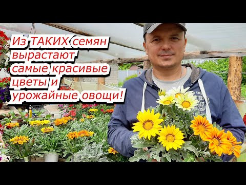 Готовимся к новому сезону. Посылка с семенами овощей и цветов. Обзор.