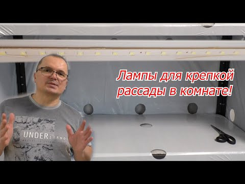 Лампы, под которыми вырастает толстая и коренастая рассада! Лампы, под которыми вырастает толстая и коренастая рассада!