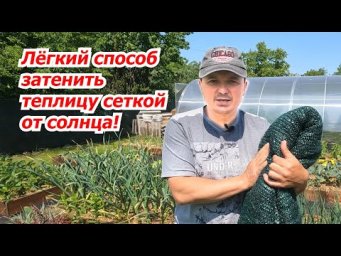 Накройте так свою теплицу- не мучайте растения!